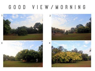G o o d V i e w / M o r n i n g
1	
   2	
  
3	
   4	
  
 