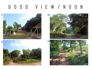 G o o d V i e w / N o o n
9	
   10	
  
11	
   12	
  
 