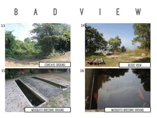 B a d V i e w
Block ViewConcave Ground
Mosquito breeding ground Mosquito breeding ground
14	
  
15	
  
13	
  
16	
  
 