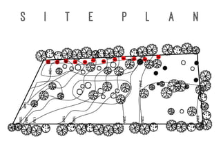 S i t e P l a n
 