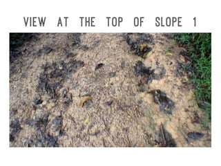 View at the top of Slope 1
 