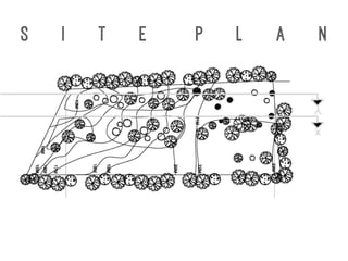 S i t e p l a n
 