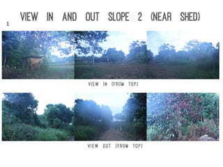 View In and Out Slope 2 (near shed)
View in [From top]
View out [From top]
1	
  
 