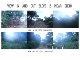 View in [10 steps downwards]
View out [10 steps downwards]
View In and Out Slope 2 (near shed)
 