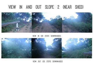 View in [20 steps downwards]
View out [20 steps downwards]
View In and Out Slope 2 (near shed)
 