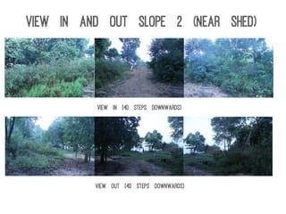 View in [40 steps downwards]
View out [40 steps downwards]
View In and Out Slope 2 (near shed)
 