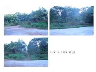 V i e w i n f r o m b e a c h
 