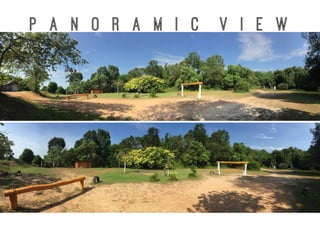 P a n o r a m I C V i e w
 