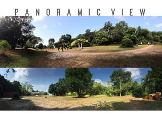 P a n o r a m I C V i e w
 
