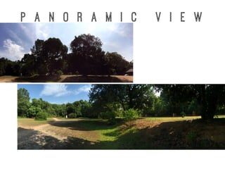 P a n o r a m I C V i e w
 