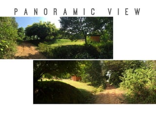 P a n o r a m I C V i e w
 