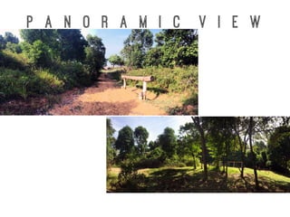 P a n o r a m I C V i e w
 