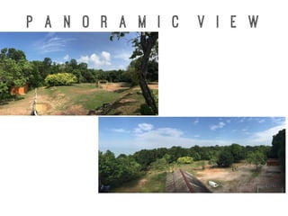 P a n o r a m I C V i e w
 