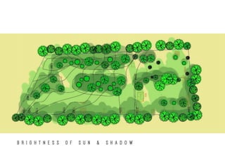 B R I G H T N E S S O F S U N & S H A D O W
 