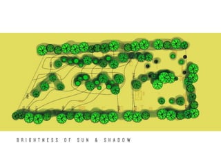 B R I G H T N E S S O F S U N & S H A D O W
 
