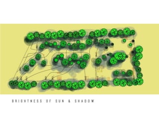 B R I G H T N E S S O F S U N & S H A D O W
 