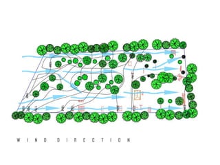 W I N D D I R E C T I O N
 