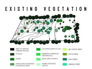 E x i s t i n g v e g e t a t i o n
FICUS TREE
SAGA TREE
ASHOKA TREE
SEA APPLE TREE
 