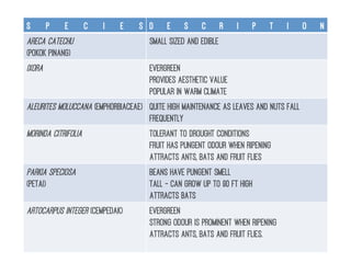 S P E C I E S D E S C R I P T I O N
ARECA CATECHU
(POKOK PINANG)
Small sized and edible
IXORA Evergreen
Provides aesthetic value
Popular in warm climate
ALEURITES MOLUCCANA (EMPHORBIACEAE) Quite high maintenance as leaves and nuts fall
frequently
MORINDA CITRIFOLIA Tolerant to drought conditions
Fruit has pungent odour when ripening
Attracts ants, bats and fruit flies
PARKIA SPECIOSA
(PETAI)
Beans have pungent smell
Tall – can grow up to 90 ft high
Attracts bats
ARTOCARPUS INTEGER (CEMPEDAK) Evergreen
Strong odour is prominent when ripening
Attracts ants, bats and fruit flies.
 