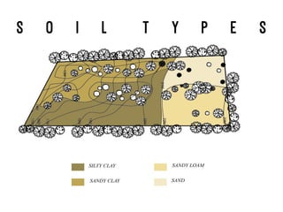 S o i l t y p e s
Site is surrounded by dense vegetation
Some of the trees and shrubs are planted intentionally
Strategic placement of trees and shrubs to facilitate human circulation
 
