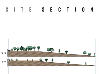 S I T E S E C T I O N
 