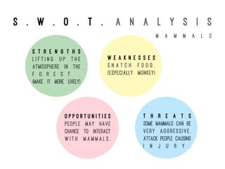 S . w . o . t . a n a l y s i s
S t r e n g t h s
L i f t i n g u p t h e
atmosphere in the
f o r e s t .
(make it more lively)
W e a k n e s s e s
S n a t c h f o o d .
(especially monkey)
O p p o r t u n i t i e s
People may have
chance to interact
w i t h m a m m a l s .
T h r e a t s
Some mammals can be
very aggressive.
Attack people causing
i n j u r y .
m a m m a l s
 