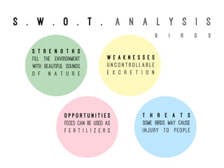 S . w . o . t . a n a l y s i s
S t r e n g t h s
Fill the environment
with beautiful sounds
o f n a t u r e
W e a k n e s s e s
U n c o n t r o l l a b l e
e x c r e t i o n
O p p o r t u n i t i e s
Feces can be used as
f e r t i l i z e r s
T h r e a t s
Some birds may cause
injury to people
b i r d s
 