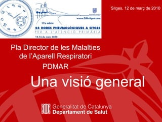 Pla Director de les Malalties de l’Aparell Respiratori PDMAR Una visió general Sitges, 12 de març de 2010 
