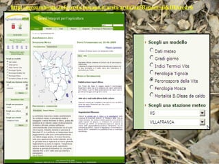 http://agroambiente.info.arsia.toscana.it/arsia/arsia?ae5Report=si&IDArea=6
 