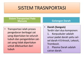 SISTEM TRASNPORTASI
Sistem Transportasi Pada
Manusia
• Transportasi ialah proses
pengedaran berbagai zat
yang diperlukan ke seluruh
tubuh dan pengambilan zat-
zat yang tidak diperlukan
untuk dikeluarkan dari
tubuh
Golongan Darah
• Darah (Sanguis)
Terdiri dari dua komponen:
1. Korpuskuler adalah
unsur padat darah yaitu sel-
sel darah 4 Eritrosit, Lekosit,
Trombosit.
2. Plasma Darah adalah
cairan darah.
 