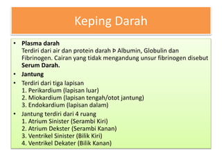 Keping Darah
• Plasma darah
Terdiri dari air dan protein darah Þ Albumin, Globulin dan
Fibrinogen. Cairan yang tidak mengandung unsur fibrinogen disebut
Serum Darah.
• Jantung
• Terdiri dari tiga lapisan
1. Perikardium (lapisan luar)
2. Miokardium (lapisan tengah/otot jantung)
3. Endokardium (lapisan dalam)
• Jantung terdiri dari 4 ruang
1. Atrium Sinister (Serambi Kiri)
2. Atrium Dekster (Serambi Kanan)
3. Ventrikel Sinister (Bilik Kiri)
4. Ventrikel Dekater (Bilik Kanan)
 