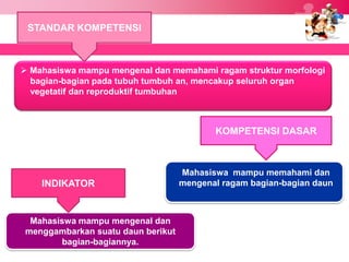 STANDAR KOMPETENSI



 Mahasiswa mampu mengenal dan memahami ragam struktur morfologi
  bagian-bagian pada tubuh tumbuh an, mencakup seluruh organ
  vegetatif dan reproduktif tumbuhan



                                           KOMPETENSI DASAR



                                    Mahasiswa mampu memahami dan
    INDIKATOR                       mengenal ragam bagian-bagian daun



  Mahasiswa mampu mengenal dan
 menggambarkan suatu daun berikut
        bagian-bagiannya.
 