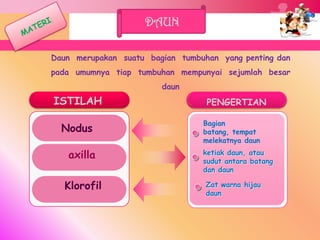 DAUN

Daun merupakan suatu bagian tumbuhan yang penting dan
pada umumnya tiap tumbuhan mempunyai sejumlah besar
                        daun
ISTILAH                           PENGERTIAN

                                 Bagian
  Nodus                          batang, tempat
                                 melekatnya daun

   axilla                        ketiak daun, atau
                                 sudut antara batang
                                 dan daun

  Klorofil                        Zat warna hijau
                                  daun
 