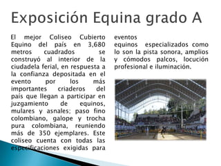 El mejor Coliseo Cubierto
Equino del país en 3,680
metros cuadrados se
construyó al interior de la
ciudadela ferial, en respuesta a
la confianza depositada en el
evento por los más
importantes criaderos del
país que llegan a participar en
juzgamiento de equinos,
mulares y asnales; paso fino
colombiano, galope y trocha
pura colombiana, reuniendo
más de 350 ejemplares. Este
coliseo cuenta con todas las
especificaciones exigidas para
eventos
equinos especializados como
lo son la pista sonora, amplios
y cómodos palcos, locución
profesional e iluminación.
 