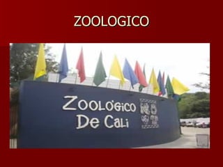 ZOOLOGICO