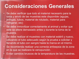 Consideraciones Generales
• Se debe verificar que todo el material necesario para la
  toma y envió de las muestras este disponible (agujas,
  jeringas, tubos, material de rotulado, material para
  refrigerar, etc)
• Se debe inmovilizar correctamente al animal y evitar que
  este se altere demasiado antes y durante la toma de la
  muestra.
• Se debe realizar el muestreo con material estéril y nuevo,
  utilizando el tubo adecuado según la prueba a solicitar y
  llenando el tubo con sangre hasta la marca en el mismo.
• Se recomienda realizar una correcta antisepsia de la zona
  en la que se realizara la venopunción.
• Evitar cambios bruscos de la temperatura de las muestras.
 