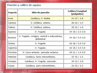 •   http://www.proclave.com/servet/tomamuestras/agujas.h
 