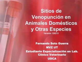 Sitios de
  Venopunción en
Animales Domésticos
  y Otras Especies
           Versión 120212




      Fernando Soto Guerra
             MVZ UT
Estudiante Especialización en Lab.
       Clínico Veterinario
              UDCA
 