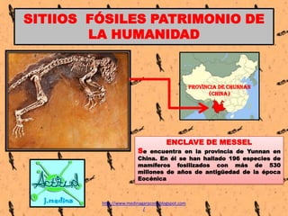SITIIOS FÓSILES PATRIMONIO DE
LA HUMANIDAD

PROVINCIA DE CHUNNAN
(CHINA)

Se

ENCLAVE DE MESSEL

encuentra en la provincia de Yunnan en
China. En él se han hallado 196 especies de
mamíferos fosilizados con más de 530
millones de años de antigüedad de la época
Eocénica

http://www.medinagarpcom.blogspot.com
/

 