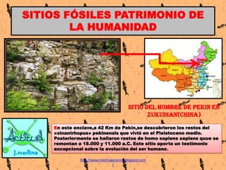 SITIOS FÓSILES PATRIMONIO DE
LA HUMANIDAD
Pekin

*

SITIO DEL HOMBRE DE PEKIN EN
ZUKUDIAN(CHINA)
En este enclave,a 42 Km d...