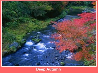 Deep Autumn 