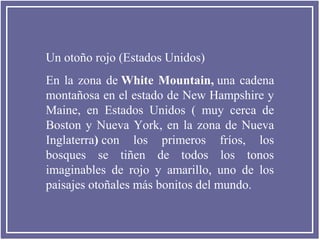 Un otoño rojo (Estados Unidos)
En la zona de White Mountain, una cadena
montañosa en el estado de New Hampshire y
Maine, en Estados Unidos ( muy cerca de
Boston y Nueva York, en la zona de Nueva
Inglaterra) con los primeros fríos, los
bosques se tiñen de todos los tonos
imaginables de rojo y amarillo, uno de los
paisajes otoñales más bonitos del mundo.

 