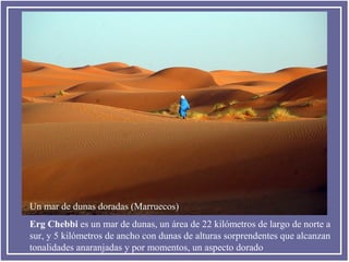 Un mar de dunas doradas (Marruecos)
Erg Chebbi es un mar de dunas, un área de 22 kilómetros de largo de norte a
sur, y 5 kilómetros de ancho con dunas de alturas sorprendentes que alcanzan
tonalidades anaranjadas y por momentos, un aspecto dorado

 