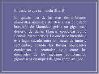 El desierto que se inunda (Brasil)
Es quizás una de las más deslumbrantes
maravillas naturales de Brasil. En el estado
brasileño de Maranhao existe un gigantesco
desierto de dunas blancas conocidas como
Lençois Maranhenses. Lo que hace increíble a
éste lugar sucede entre los meses de junio y
septiembre, cuando las lluvias abundantes
comienzan a acumular agua entre los
desniveles de los médanos conformando
gigantescos estanques de agua verde azulado.

 