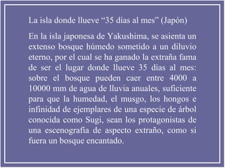 La isla donde llueve “35 días al mes” (Japón)
En la isla japonesa de Yakushima, se asienta un
extenso bosque húmedo sometido a un diluvio
eterno, por el cual se ha ganado la extraña fama
de ser el lugar donde llueve 35 días al mes:
sobre el bosque pueden caer entre 4000 a
10000 mm de agua de lluvia anuales, suficiente
para que la humedad, el musgo, los hongos e
infinidad de ejemplares de una especie de árbol
conocida como Sugi, sean los protagonistas de
una escenografía de aspecto extraño, como si
fuera un bosque encantado.

 