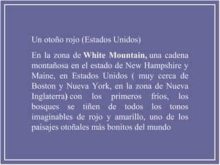 Un otoño rojo (Estados Unidos)
En la zona de White Mountain, una cadena
montañosa en el estado de New Hampshire y
Maine, en Estados Unidos ( muy cerca de
Boston y Nueva York, en la zona de Nueva
Inglaterra) con los primeros fríos, los
bosques se tiñen de todos los tonos
imaginables de rojo y amarillo, uno de los
paisajes otoñales más bonitos del mundo
 