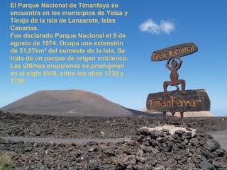 El Parque Nacional de Timanfaya se
encuentra en los municipios de Yaiza y
Tinajo de la isla de Lanzarote, Islas
Canarias.
Fue declarado Parque Nacional el 9 de
agosto de 1974. Ocupa una extensión
de 51,07km² del suroeste de la isla. Se
trata de un parque de origen volcánico.
Las últimas erupciones se produjeron
en el siglo XVIII, entre los años 1730 y
1736.
 