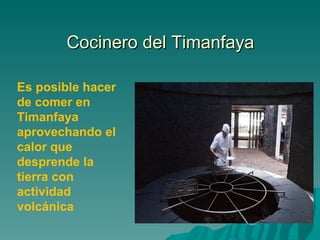 Cocinero del Timanfaya

Es posible hacer
de comer en
Timanfaya
aprovechando el
calor que
desprende la
tierra con
actividad
volcánica
 