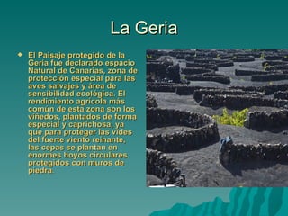 La Geria
   El Paisaje protegido de la
    Geria fue declarado espacio
    Natural de Canarias, zona de
    protección especial para las
    aves salvajes y área de
    sensibilidad ecológica. El
    rendimiento agrícola más
    común de esta zona son los
    viñedos, plantados de forma
    especial y caprichosa, ya
    que para proteger las vides
    del fuerte viento reinante,
    las cepas se plantan en
    enormes hoyos circulares
    protegidos con muros de
    piedra.
 