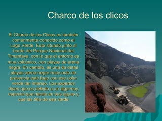 Charco de los clicos

El Charco de los Clicos es también
  comúnmente conocido como el
 Lago Verde. Está situado junto al
   borde del Parque Nacional del
Timanfaya, con lo que el entorno es
muy volcánico, con playas de arena
negra. En cambio, es una de estas
 playas arena negra hace acto de
 presencia este lago con ese color
  verde tan intenso. Los expertos
dicen que es debido a un alga muy
especial que habita en sus aguas y
     que las tiñe de ese verde
 